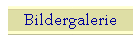 Bildergalerie